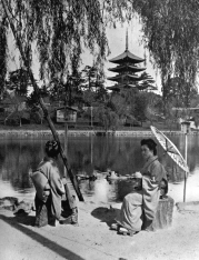 THE NARA PAGODA In lotus-land Japan, 1910 by H.G.Ponting